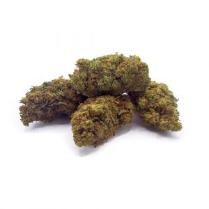 T9HC Flowers - Northen Lights