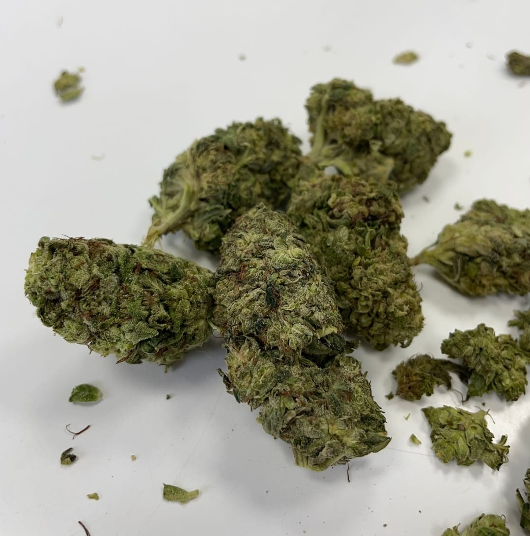 WhatsApp Bild 2024-12-23 um 15.33.02_6cab8480