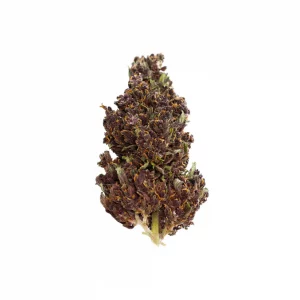 25% DNT-9 URU Purple Aromablüten 2g